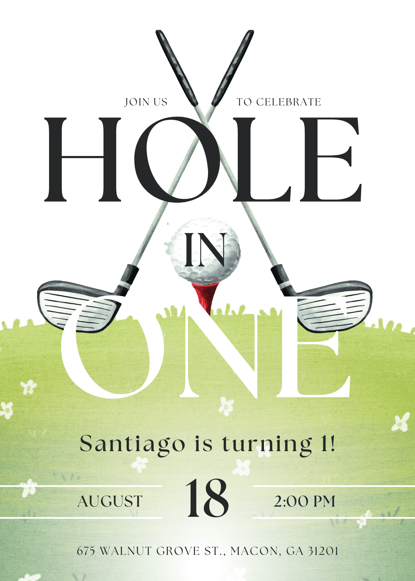 Hole in One